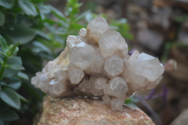 Natural Smokey Phantom Quartz Clusters x 2 From Luena, Congo