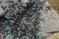 Natural Libethenite Crystals On Dolomite Matrix Specimens x 2 From Shituru, Congo