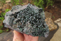 Natural Libethenite Crystals On Dolomite Matrix Specimens x 2 From Shituru, Congo