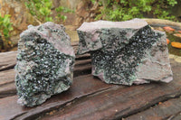 Natural Libethenite Crystals On Dolomite Matrix Specimens x 2 From Shituru, Congo