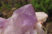 Natural Jacaranda Amethyst Clusters x 3 From Mumbwa, Zambia