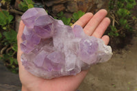 Natural Jacaranda Amethyst Clusters x 3 From Mumbwa, Zambia