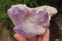 Natural Jacaranda Amethyst Clusters x 3 From Mumbwa, Zambia