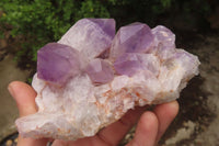 Natural Jacaranda Amethyst Clusters x 3 From Mumbwa, Zambia