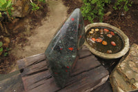 Polished Bloodstone Point x 1 From Swaziland