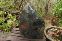 Polished Bloodstone Point x 1 From Swaziland