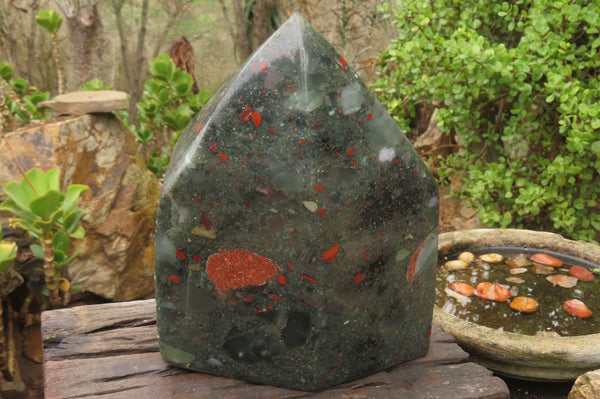 Polished Bloodstone Point x 1 From Swaziland