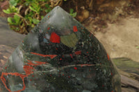 Polished Bloodstone Point x 1 From Swaziland