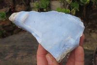 Natural Blue Lace Agate Geode Specimens x 10 From Nsanje, Malawi