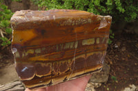 Polished On One Side Nguni Jasper Specimens x 2 From Prieska, South Africa