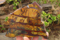 Polished On One Side Nguni Jasper Specimens x 2 From Prieska, South Africa