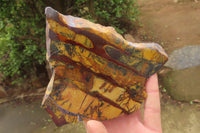 Polished On One Side Nguni Jasper Specimens x 2 From Prieska, South Africa