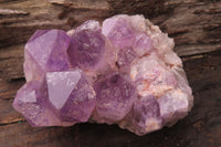 Natural Jacaranda Amethyst Clusters x 2 From Zambia