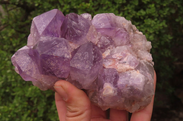 Natural Jacaranda Amethyst Clusters x 2 From Zambia