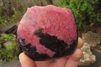 Polished On One Side Rhodonite Specimens x 6 From Madagascar