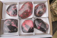 Polished On One Side Rhodonite Specimens x 6 From Madagascar