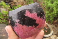 Polished On One Side Rhodonite Specimens x 6 From Madagascar