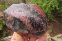 Polished On One Side Rhodonite Specimens x 6 From Madagascar