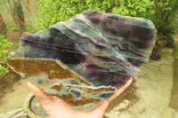 Polished Watermelon Fluorite Slices x 2 From Uis, Namibia