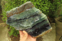 Polished Watermelon Fluorite Slices x 2 From Uis, Namibia