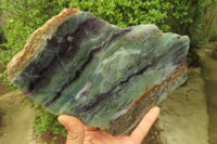 Polished Watermelon Fluorite Slices x 2 From Uis, Namibia