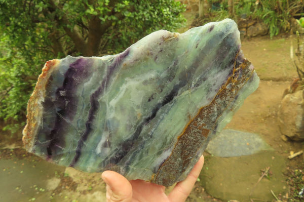 Polished Watermelon Fluorite Slices x 2 From Uis, Namibia