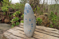 Polished Blue Spinel Spotted Quartz Standing Free Forms x 2 From Madagascar