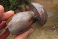 Polished Polychrome Jasper Mushrooms x 5 From Madagascar