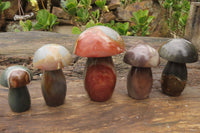 Polished Polychrome Jasper Mushrooms x 5 From Madagascar