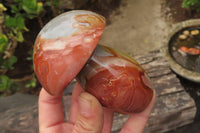 Polished Polychrome Jasper Mushrooms x 5 From Madagascar