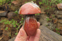 Polished Polychrome Jasper Mushrooms x 5 From Madagascar