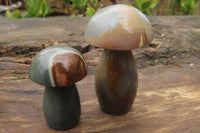 Polished Polychrome Jasper Mushrooms x 5 From Madagascar