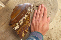 Polished On One Side Nguni Jasper Specimen x 1 From Prieska, South Africa