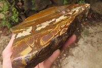 Polished On One Side Nguni Jasper Specimen x 1 From Prieska, South Africa