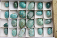 Polished Amazonite Palm Stones x 24 From Madagascar