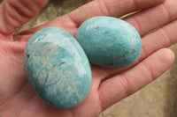 Polished Amazonite Palm Stones x 24 From Madagascar