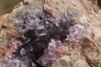 Natural Zululand Amethyst Geodes x 4 from Jozini, South Africa