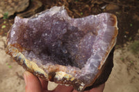 Natural Zululand Amethyst Geodes x 4 from Jozini, South Africa