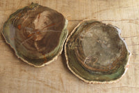 Polished Petrified Wood Slices x 6 From Gokwe, Zimbabwe