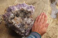 Natural Zululand Amethyst Geodes x 2 from Jozini, South Africa