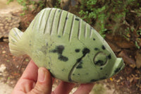 Polished Leopard Stone Fish Carvings x 2 From Zimbabwe