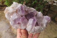 Natural Jacaranda Amethyst Clusters x 2 From Zambia