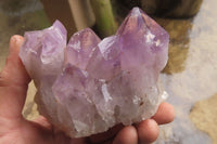 Natural Jacaranda Amethyst Clusters x 2 From Zambia