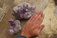 Natural Jacaranda Amethyst Clusters x 2 From Zambia