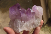 Natural Jacaranda Amethyst Clusters x 2 From Zambia