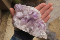 Natural Jacaranda Amethyst Clusters x 2 From Zambia