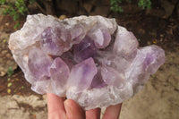 Natural Jacaranda Amethyst Clusters x 2 From Zambia