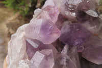 Natural Jacaranda Amethyst Clusters x 2 From Zambia