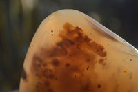 Polished Dendritic Agate Standing Free Forms x 2 From Madagascar