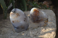 Polished Dendritic Agate Standing Free Forms x 2 From Madagascar